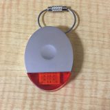 ついにWistikiのアッハ(aha!)が届いた !Voila(ヴォワラ)に続いてレビュー